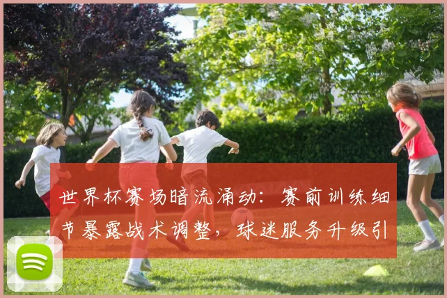 世界杯赛场暗流涌动:赛前训练细节暴露战术调整,球迷服务升级引关注 - 看球通推荐