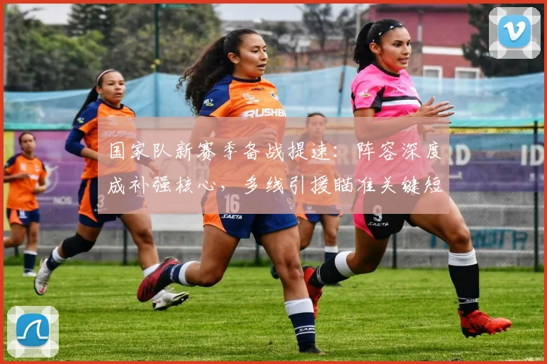 国家队新赛季备战提速：阵容深度成补强核心，多线引援瞄准关键短板 - 看球通资讯